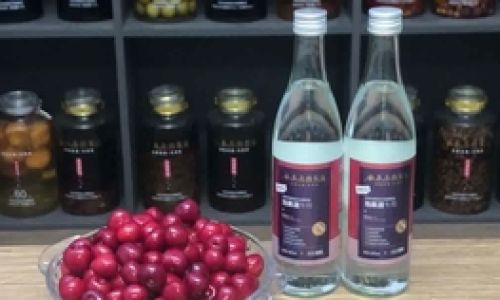 A Comprehensive Guide to Crafting Brazilian Cherry Wine:From Harvest to Bottle