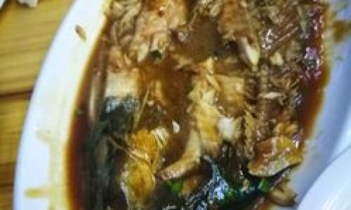 Mastering the Art of Cooking Basa Fish:Delicious Recipes and Expert Tips