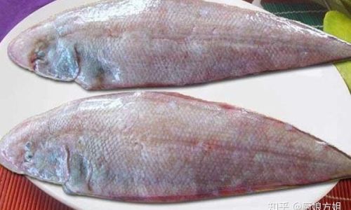 The Distinctive Differences Between Basa Fish and Sole Fish:A Comprehensive Guide