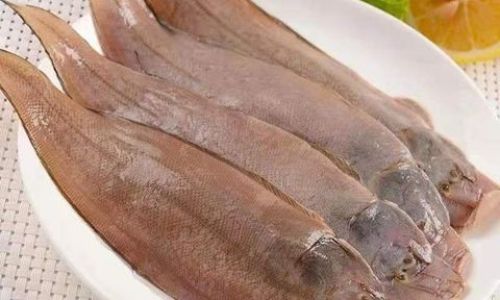 A Culinary Exploration of Basa Fish:From Preparation to Gourmet Presentation