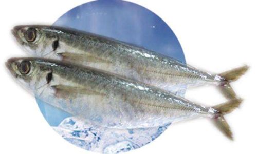 Biological Classification:Freshwater vs.Saltwater Origins
