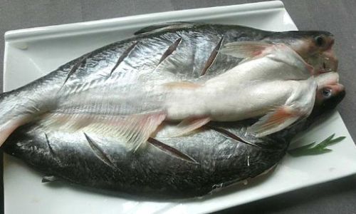 How Long Does It Take to Cook Basa Fish:A Comprehensive Guide to Perfect Results Every Time