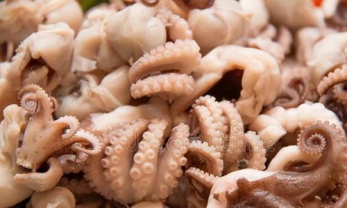 Mastering the Art of Cooking Octopus:A Comprehensive Guide to Perfect Texture and Flavor