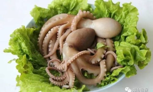 Mastering the Art of Cooking Octopus:How Long to Boil for Perfect Tenderness