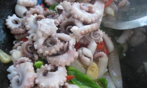 Mastering the Art of Cooking Octopus:Techniques,Recipes,and Tips for a Tender,Flavorful Delight