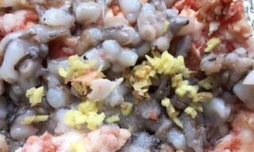 Homemade Octopus Dumplings:A Delicate Blend of Sea and Flour