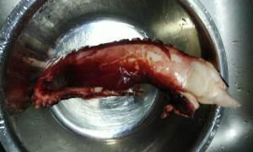 Mastering the Art of Cooking Octopus Tentacles:Techniques,Flavors,and Global Inspirations