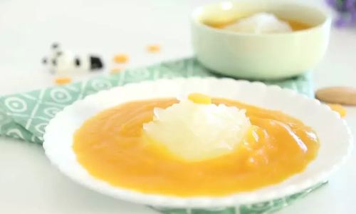 Nourishing Your Little One:August Baby Food Recipes for Every Stage of Weaning