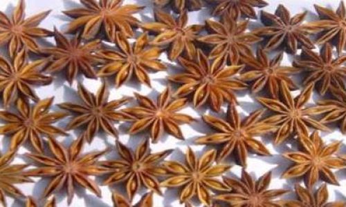 Are Star Anise and Chinese Anise the Same?Unraveling the Culinary and Botanical Mystery