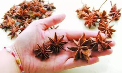 Are Star Anise and Chinese Anise the Same?Unraveling the Culinary and Botanical Mystery