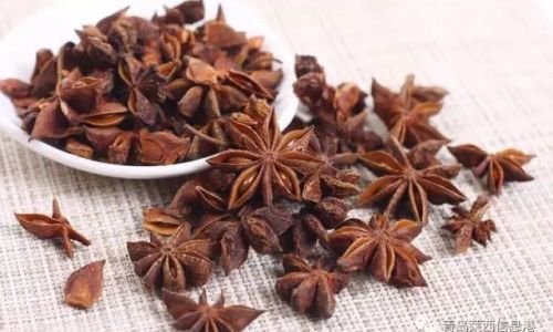 Exploring Star Anise Substitutes:Enhancing Flavors with Everyday Spices and Creative Alternatives