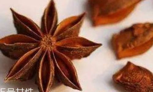 Exploring Star Anise Substitutes:Enhancing Flavors with Everyday Spices and Creative Alternatives