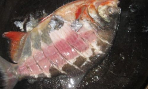 Mastering the Art of Cooking Octopus:Determining the Perfect Boiling Time for Tender Results