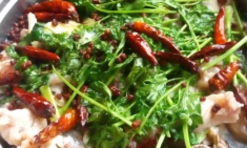 Mastering the Art of Boiling Octopus:Perfect Timing and Techniques for Tender Results