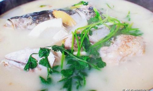 Mastering the Art of Fish Soup:Essential Ingredients to Eliminate Unwanted Fishy Aromas