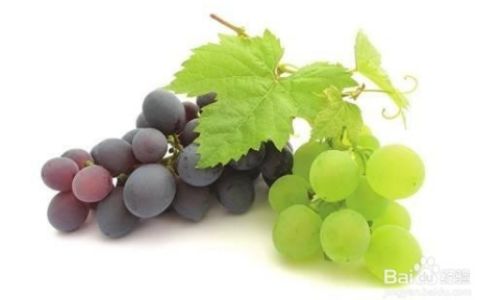 The Ultimate Guide to Fruits That Support Night Owls:Boosting Health,Energy,and Recovery