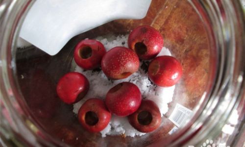 The Optimal Simmering Time for Hawthorn Canned:Is 5 Minutes Sufficient?