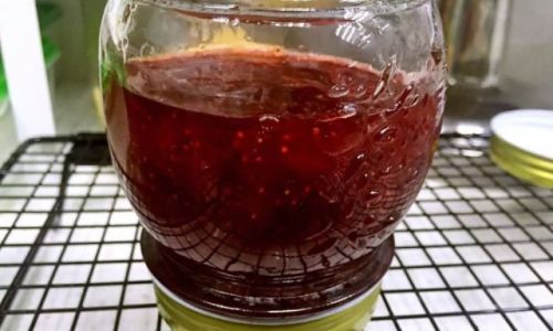 Mastering Strawberry Jam Without Lemon:Creative Substitutes and Techniques for Perfect Preserves