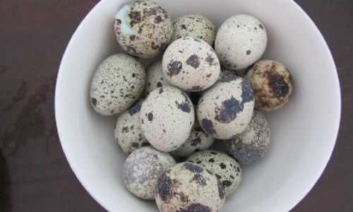 Mastering the Perfect Boil:A Comprehensive Guide to Cooking Quail Eggs to Ideal Doneness