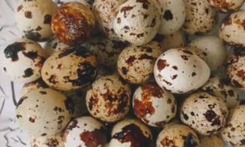 Mastering the Art of Cooking Quail Eggs:Delicious Recipes and Techniques for Gourmet Delights