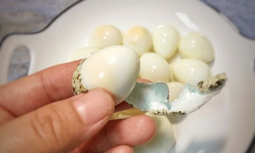 The Ultimate Guide to Perfectly Boiled Quail Eggs:Achieve Effortless Peeling Every Time