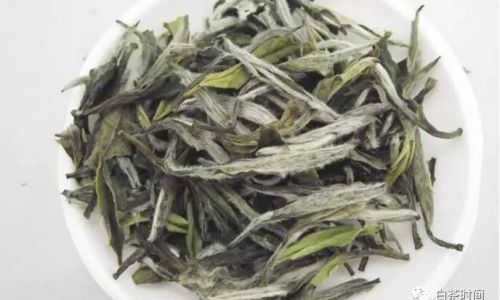 Anxi White Tea:Unraveling the Mysteries of China’s Enigmatic White Tea Variety
