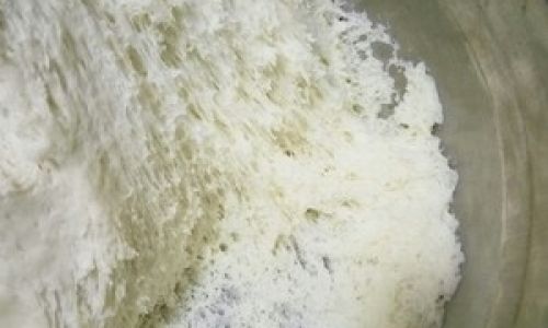 Mastering the Art of Steamed Buns:A Comprehensive Guide to Using Angel Yeast for Perfect Results