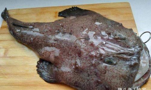 Mastering the Art of Cooking Monkfish:Delicious Recipes and Expert Techniques