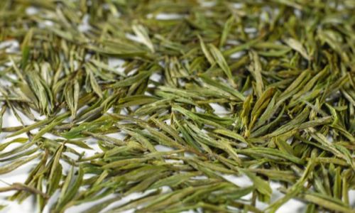 Anji White Tea:Unraveling Its Classification and Cultural Significance