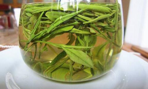 The Art of Brewing Anji White Tea:A Step-by-Step Guide to Perfection