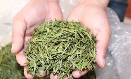 Anji White Tea:Unraveling the Mystery of Its Classification Is It White Tea or Green Tea?