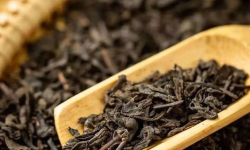 Mastering the Art of Brewing Anhua Dark Tea:Optimal Steeping Times for Perfect Flavor
