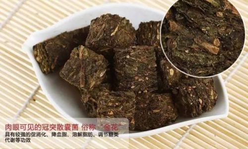 Mastering the Art of Brewing Anhua Dark Tea:Optimal Steeping Times and Techniques