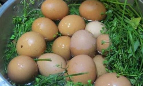 Mastering the Art of Boiling Eggs with Mugwort Leaves:Expert Tips and Tricks