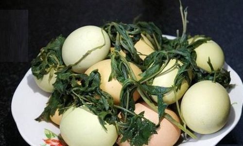 A Step-by-Step Guide to Cooking Eggs with Mugwort Leaves:Traditional Techniques and Health Benefits