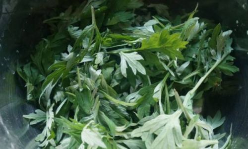 How to Cook Mugwort Deliciously:A Comprehensive Guide to Unlocking Its Culinary Potential