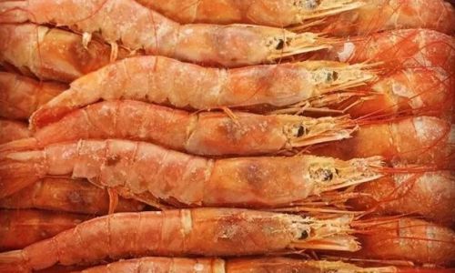 The Great Debate:Are Large or Small Argentine Red Shrimp the Better Choice?