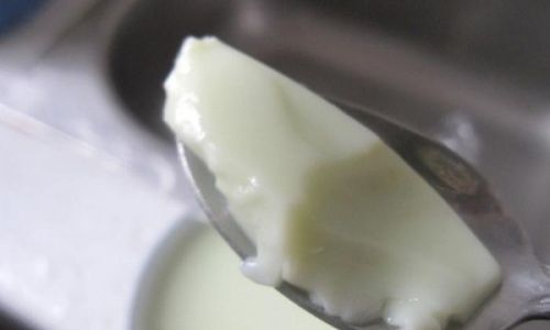 Creative Culinary Adventures:Crafting Homemade Jelly with QQ Candies and Milk