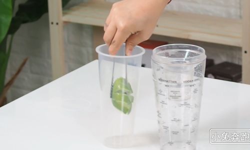 Mastering the Art of Crafting Coco Lemon霸:A Step-by-Step Guide to Refreshing Perfection