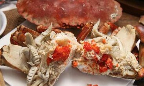 Mastering the Art of Cooking Delicious Cooked and Frozen King Crab