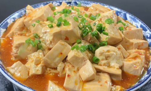 Mastering the Art of Making Delicious Tofu