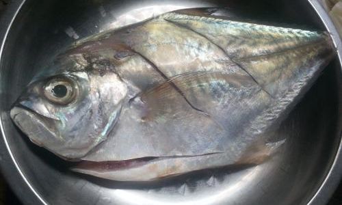 How to Cook Seafish Deliciously and Effortlessly
