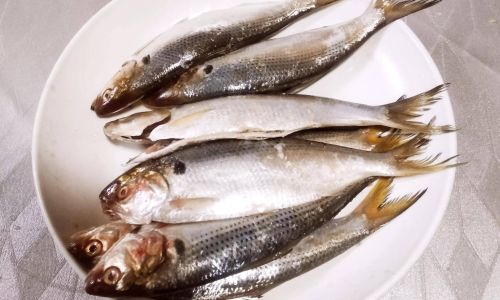 How to Cook Seafish Deliciously and Effortlessly