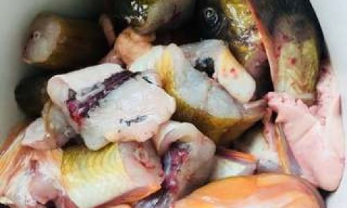 Mastering the Art of How to Prepare and Cook a Grouper