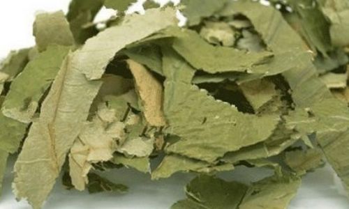 How to Make Goji Berry and Lotus Leaf Tea:A Step-by-Step Guide