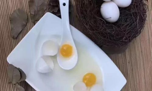 How to Prepare and Cook Pigeon Eggs:A Culinary Guide