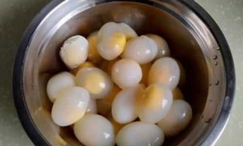 How to Prepare and Cook Pigeon Eggs:A Culinary Guide