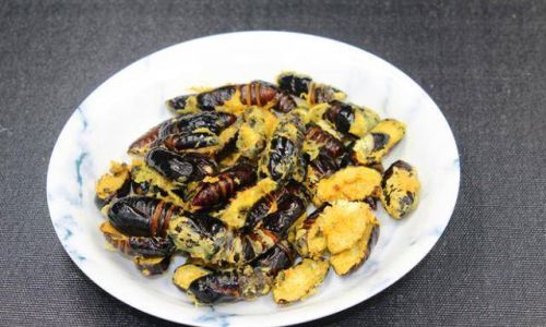 How to Perfectly Prepare Dry-Fried Silkworm Pupae