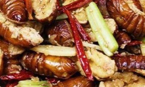 How to Perfectly Prepare Dry-Fried Silkworm Pupae
