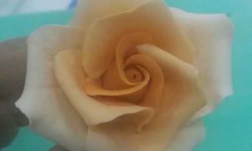 How to Create Stunning Sugar Rose Decorations